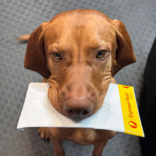 Our Chief Borking Officer, holding some mail