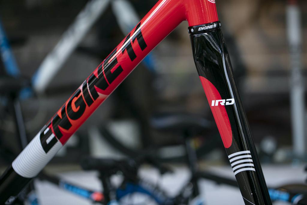 Engine11 CritD Track Frameset - IRD Squadra Corse Team Edition - Mediu –  GEAR Shop Brisbane